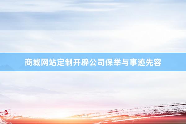 商城网站定制开辟公司保举与事迹先容