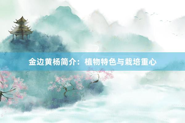 金边黄杨简介：植物特色与栽培重心